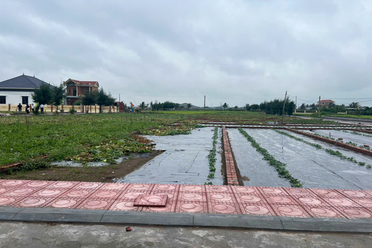 Bán đất 100m² tại Thị trấn Quất Lâm, Huyện Giao Thủy giá 1.55 tỷ – Gần biển, sổ đỏ riêng – Nguyễn