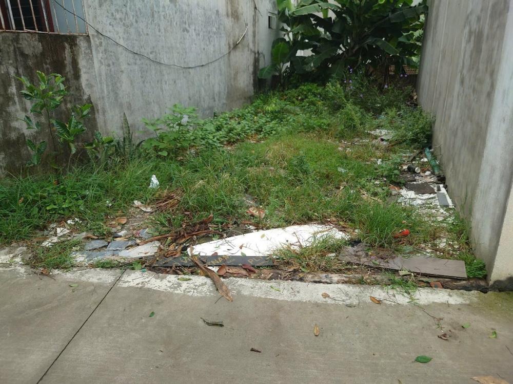 Bán Đất Đường Cổng Ba, Thôn Nhuế, Thiên Lộc - Vị Trí Đẹp, Tiềm Năng Đầu Tư