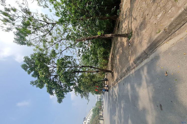 202m2 đất Gia Lâm, Hà Nội. Đường ô tô, thông 2 trục lớn. Khuôn đẹp, giá đầu tư. Lh 0989894845