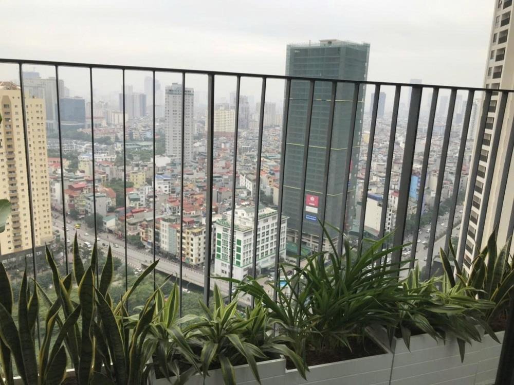 Căn 2 Ngủ 71m2 VinHomes D Capitale: View Đẹp, Giá Tốt - 8 Tỷ