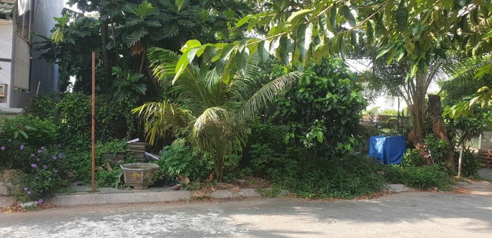 Bán Lô Đất Nền Nhà Phố Khu Tam Đa, Trường Thạnh, Thủ Đức - Vị Trí Đắc Địa, Sổ Hồng Riêng