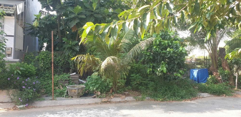 Bán Lô Đất Nền Nhà Phố Khu Tam Đa, Trường Thạnh, Thủ Đức - Vị Trí Đắc Địa, Sổ Hồng Riêng