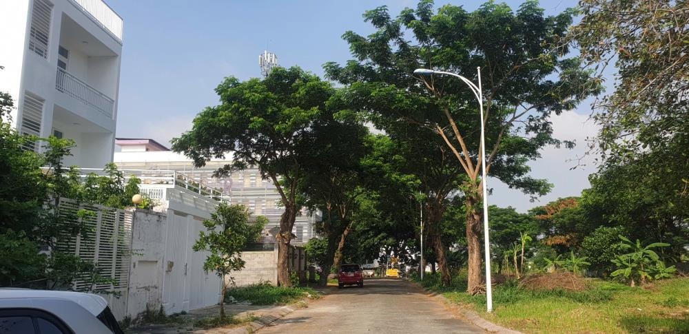 Bán Lô Đất Nền Nhà Phố Khu Tam Đa, Trường Thạnh, Thủ Đức - Vị Trí Đắc Địa, Sổ Hồng Riêng
