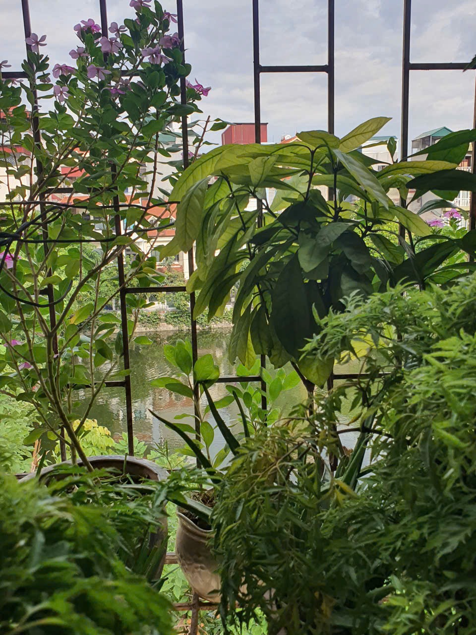 Bán nhà chính chủ view hồ Ngọc Hà - Vị trí đắc địa Ba Đình