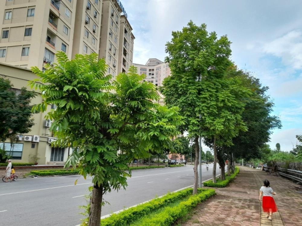 Bán căn hộ 3 phòng ngủ tại Resco Cổ Nhuế: 5.5 tỷ, full nội thất, tiện ích vượt trội