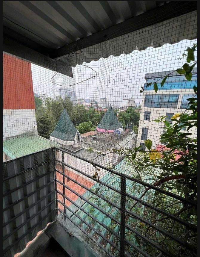 Cực Hiếm Nguyễn Du - Vị Trí Vàng, Kinh Doanh Sức Lợi