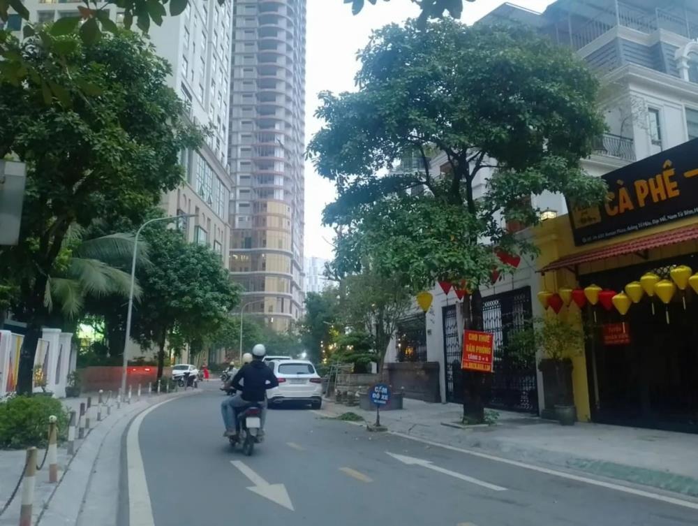 Biệt Thự VIP Tố Hữu View Trường Quốc Tế - Vừa Ở Vừa Kinh Doanh - 190m2, 52 tỷ