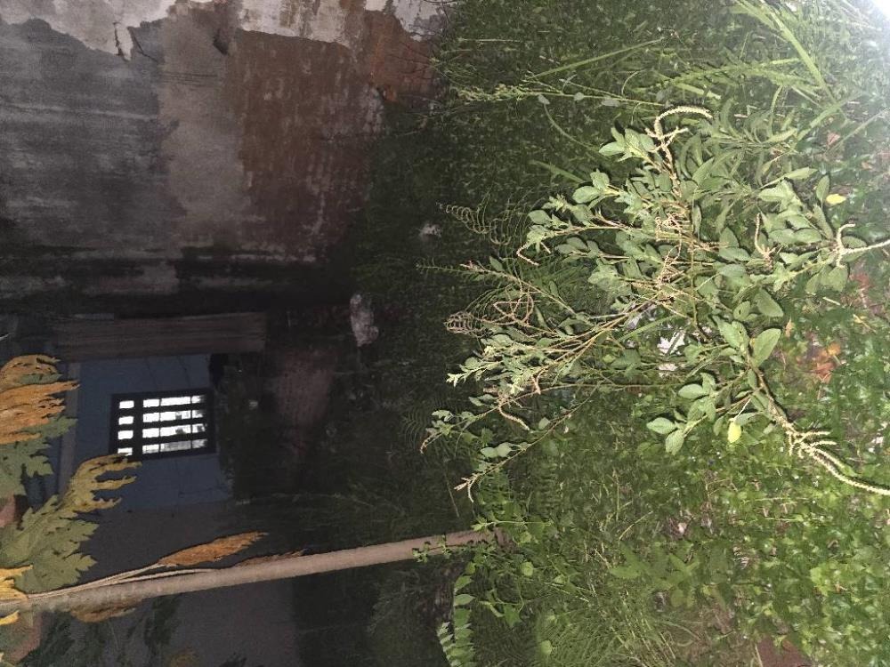 Bán Đất Xuân Phương 55m2 Sổ Vuông, Kinh Doanh Ô Tô Vào Nhà - Giá 8 Tỷ Thương Lượng
