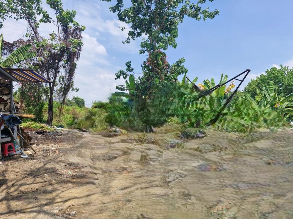 Đất nền Cát Lái 8x12m, Vị trí đẹp, Tiềm năng tăng giá cao - 4.5 tỷ