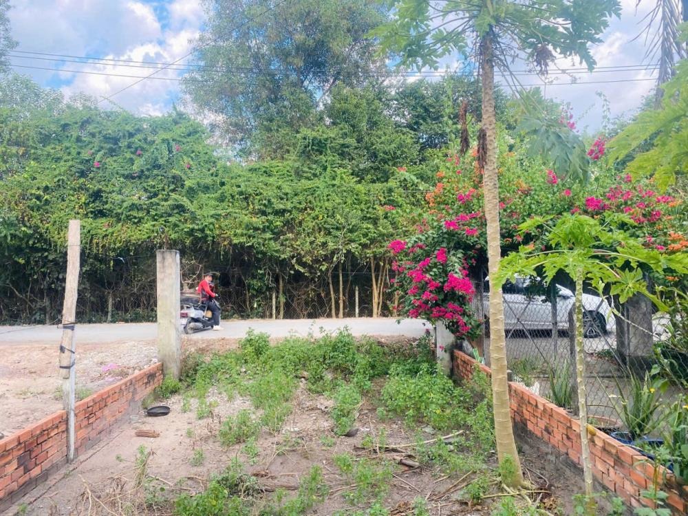 Bán Đất Củ Chi Mặt Tiền Ba Sa 100m2 - Giá 750Tr - Đầu Tư/Ở Ngay