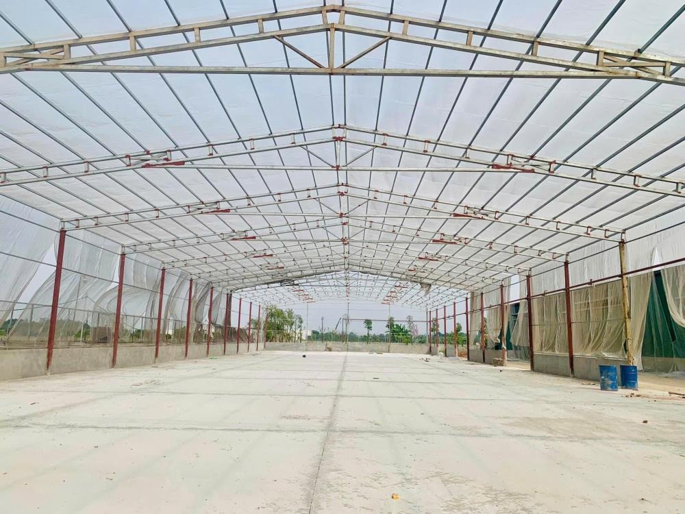 Cho Thuê Kho Xưởng Song Phương, Hoài Đức - Km12 Đại Lộ Thăng Long | Giá 65.000đ/m²