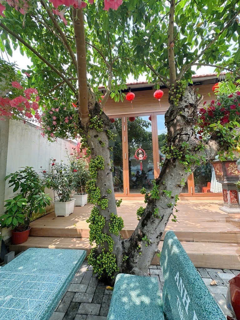 Bán Siêu Phẩm Nhà Vườn Hồ Bơi Riêng, View Kênh, Mặt Tiền 26m - Quận 12