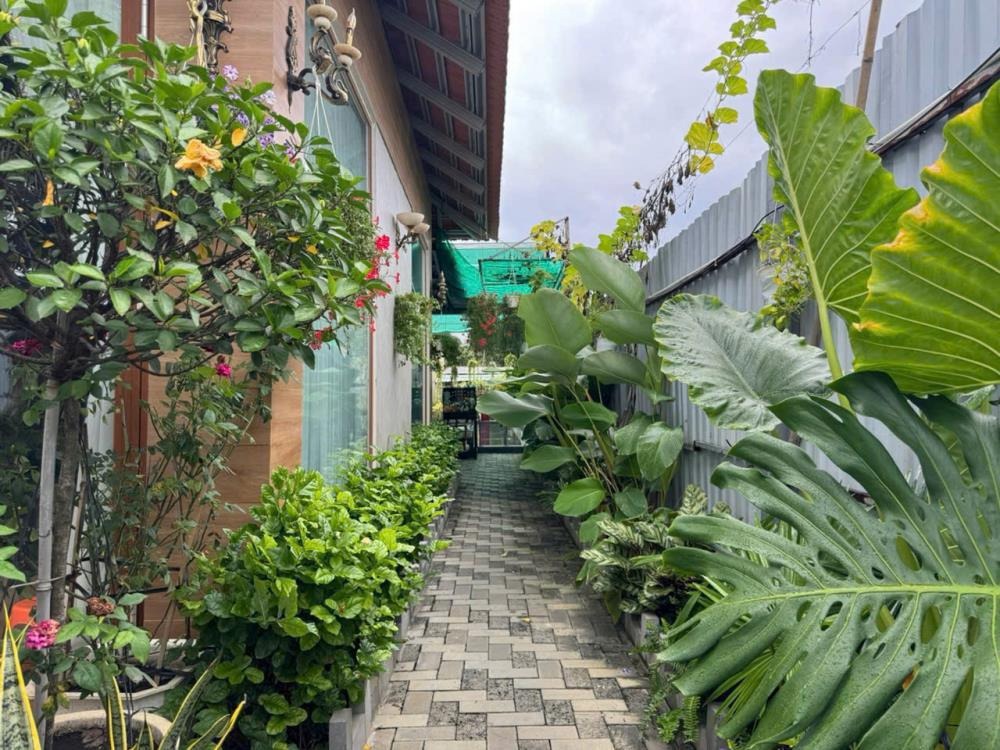 Bán Siêu Phẩm Nhà Vườn Hồ Bơi Riêng, View Kênh, Mặt Tiền 26m - Quận 12
