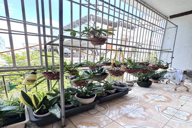 Nguyễn Tri Phương Hải Châu Oto Đậu Trước Nhà