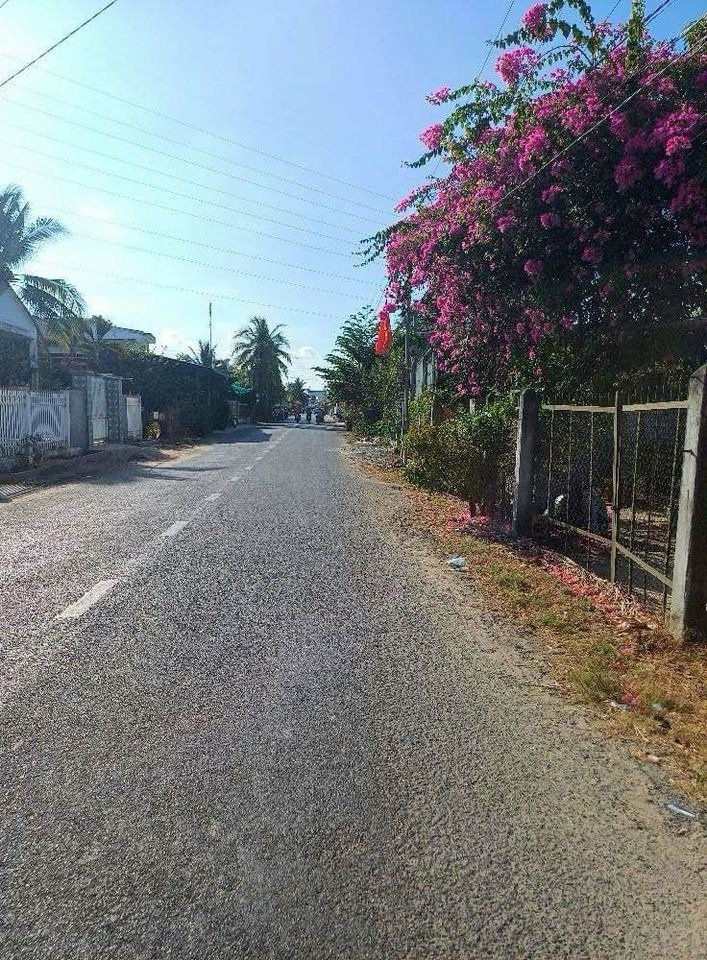 Đất nền Bình Chánh giá tốt - 147m2, SHR - Ngay đường Đoàn Nguyễn Tuấn