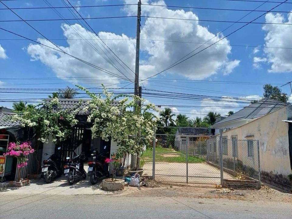 Đất nền Bình Chánh giá tốt - 147m2, SHR - Ngay đường Đoàn Nguyễn Tuấn