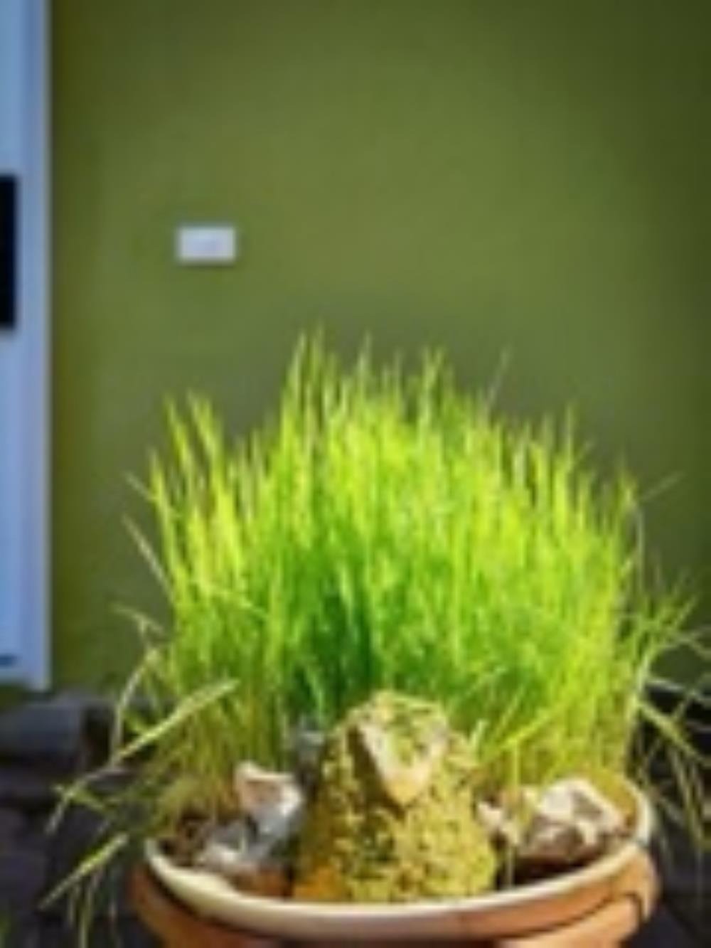Đòng Garden: Homestay Hà Nội Yên Bình, Hiện Đại, Gần Lăng Bác