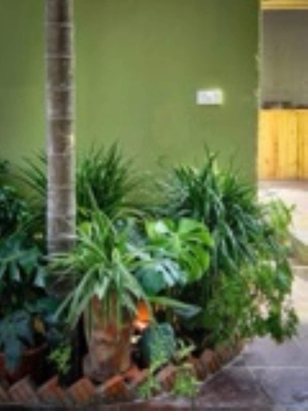 Đòng Garden: Homestay Hà Nội Yên Bình, Hiện Đại, Gần Lăng Bác