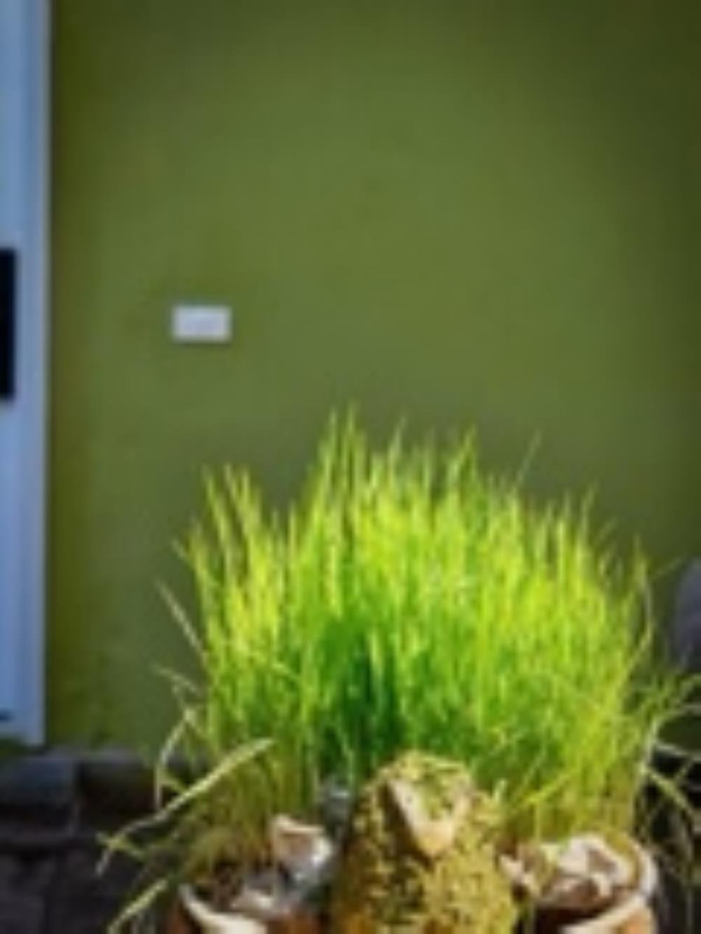 Đòng Garden: Homestay Hà Nội Yên Bình, Hiện Đại, Gần Lăng Bác