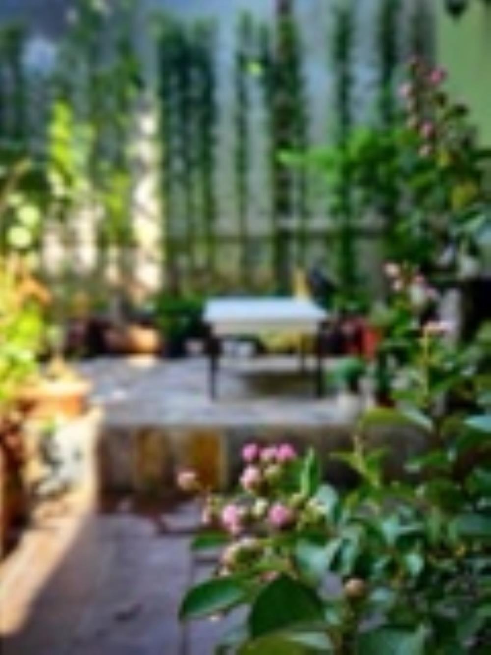 Đòng Garden: Homestay Hà Nội Yên Bình, Hiện Đại, Gần Lăng Bác