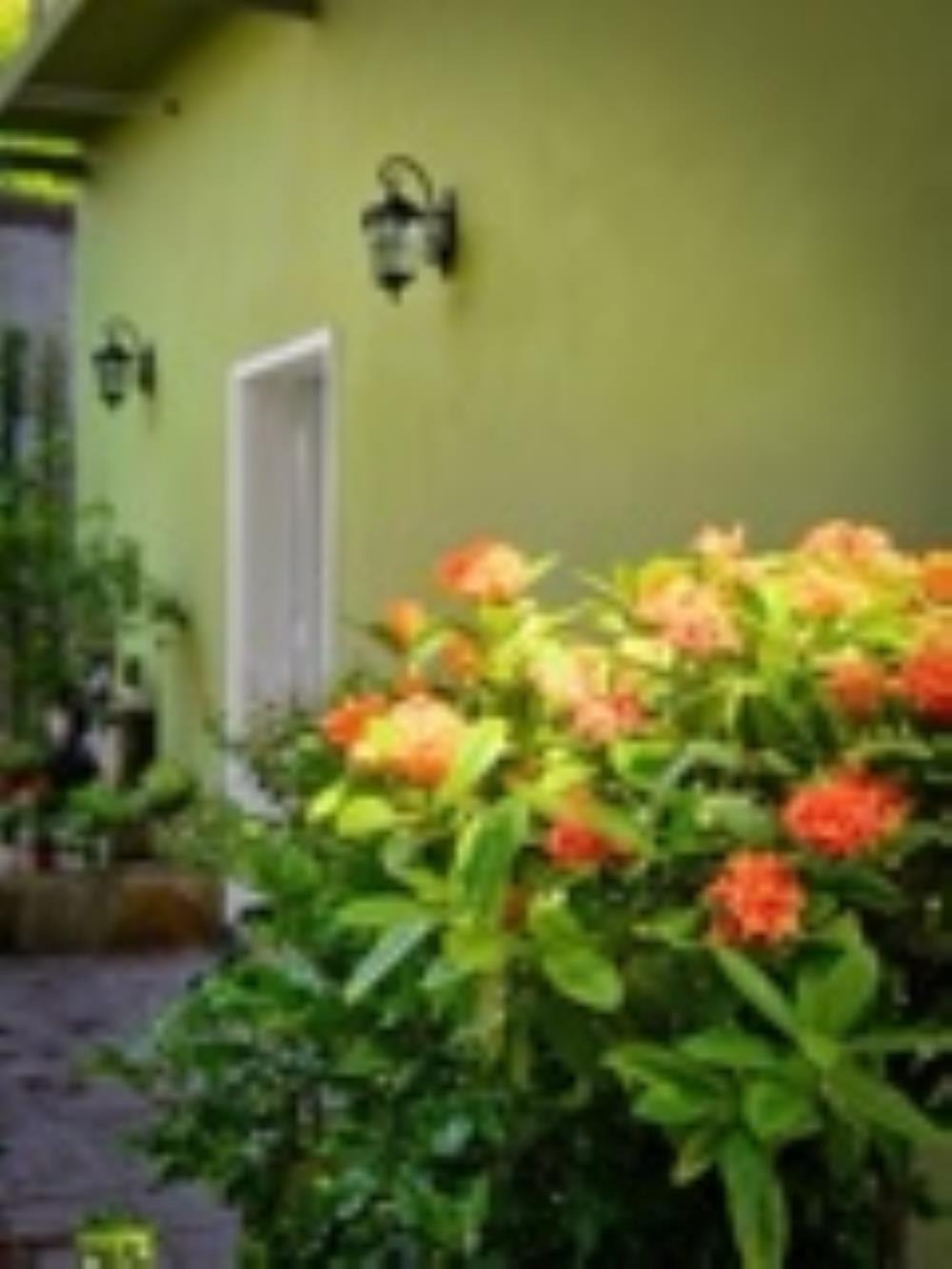 Đòng Garden: Homestay Hà Nội Yên Bình, Hiện Đại, Gần Lăng Bác