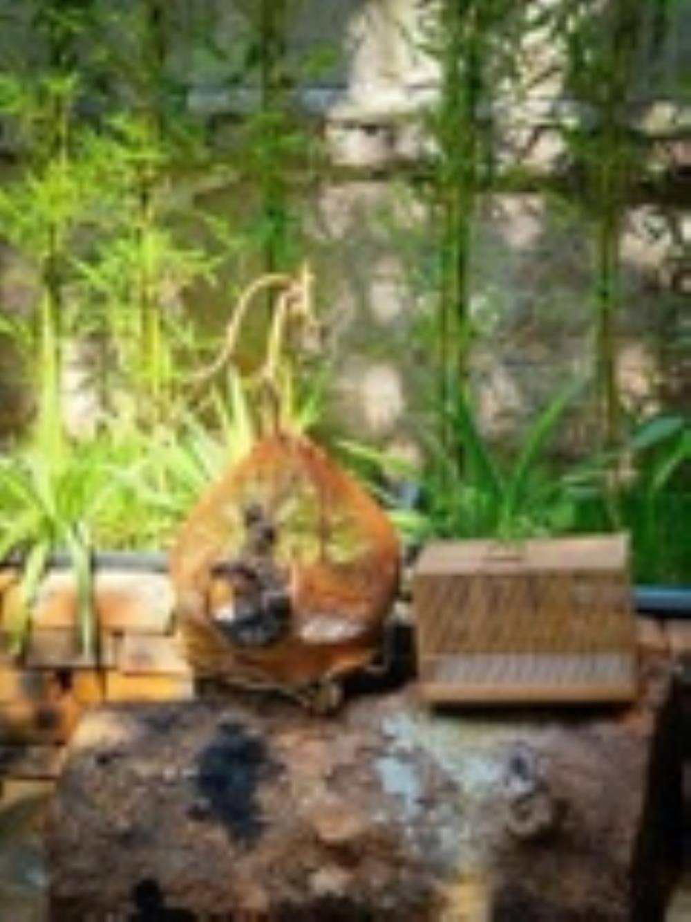 Đòng Garden: Homestay Hà Nội Yên Bình, Hiện Đại, Gần Lăng Bác