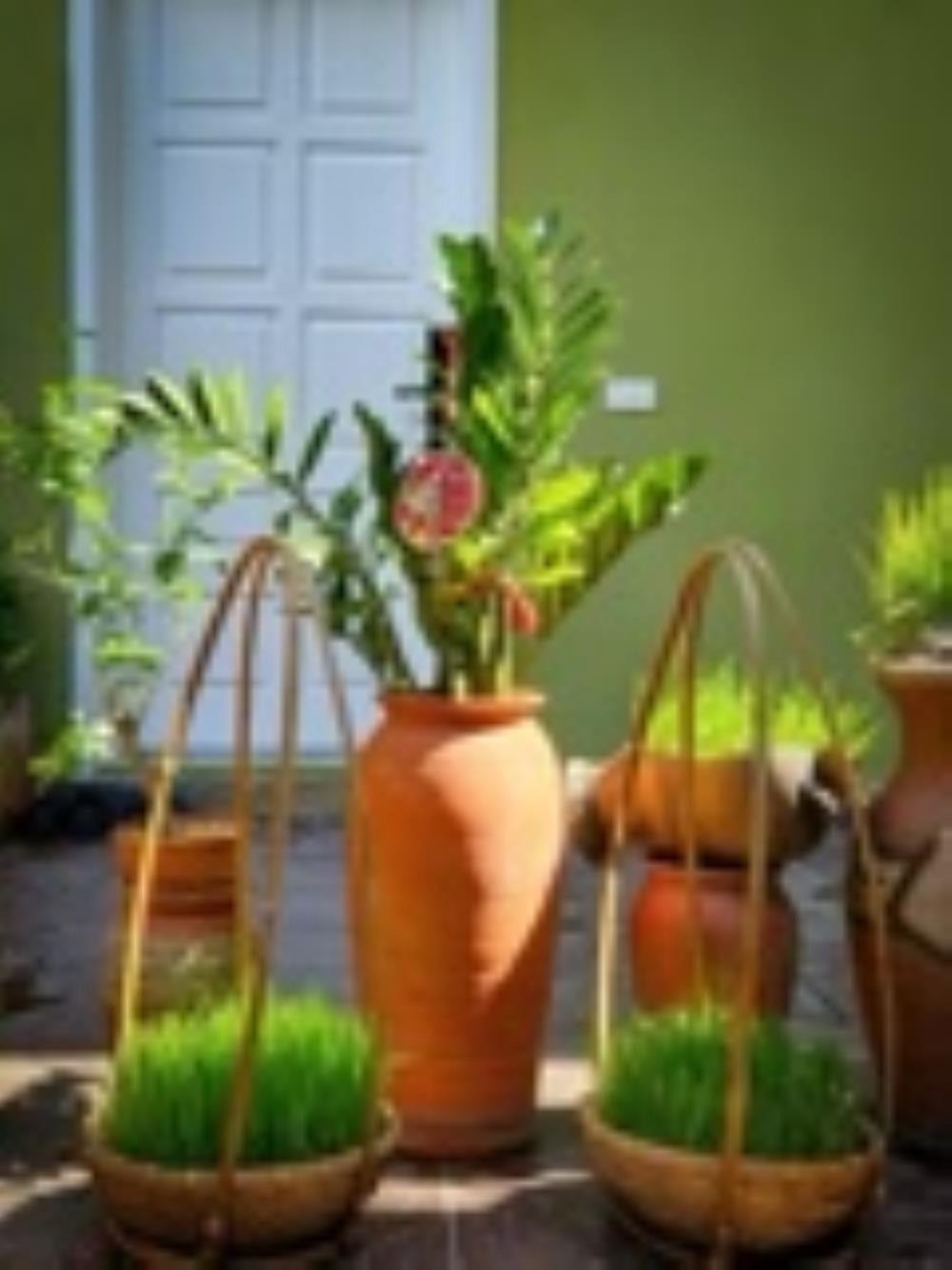 Đòng Garden: Homestay Hà Nội Yên Bình, Hiện Đại, Gần Lăng Bác