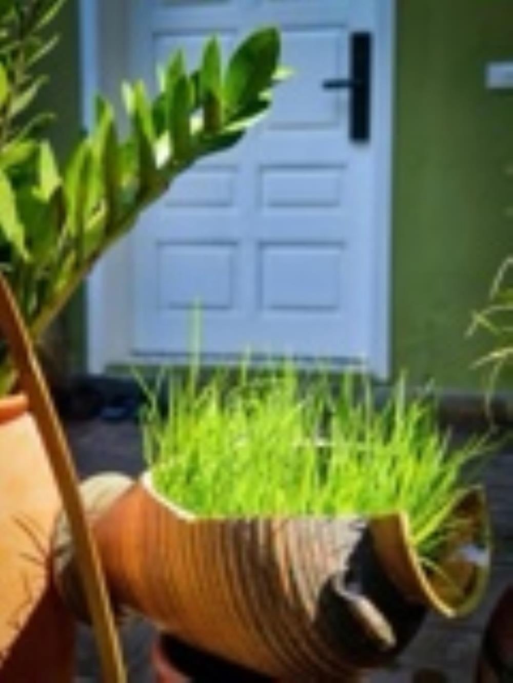 Đòng Garden: Homestay Hà Nội Yên Bình, Hiện Đại, Gần Lăng Bác
