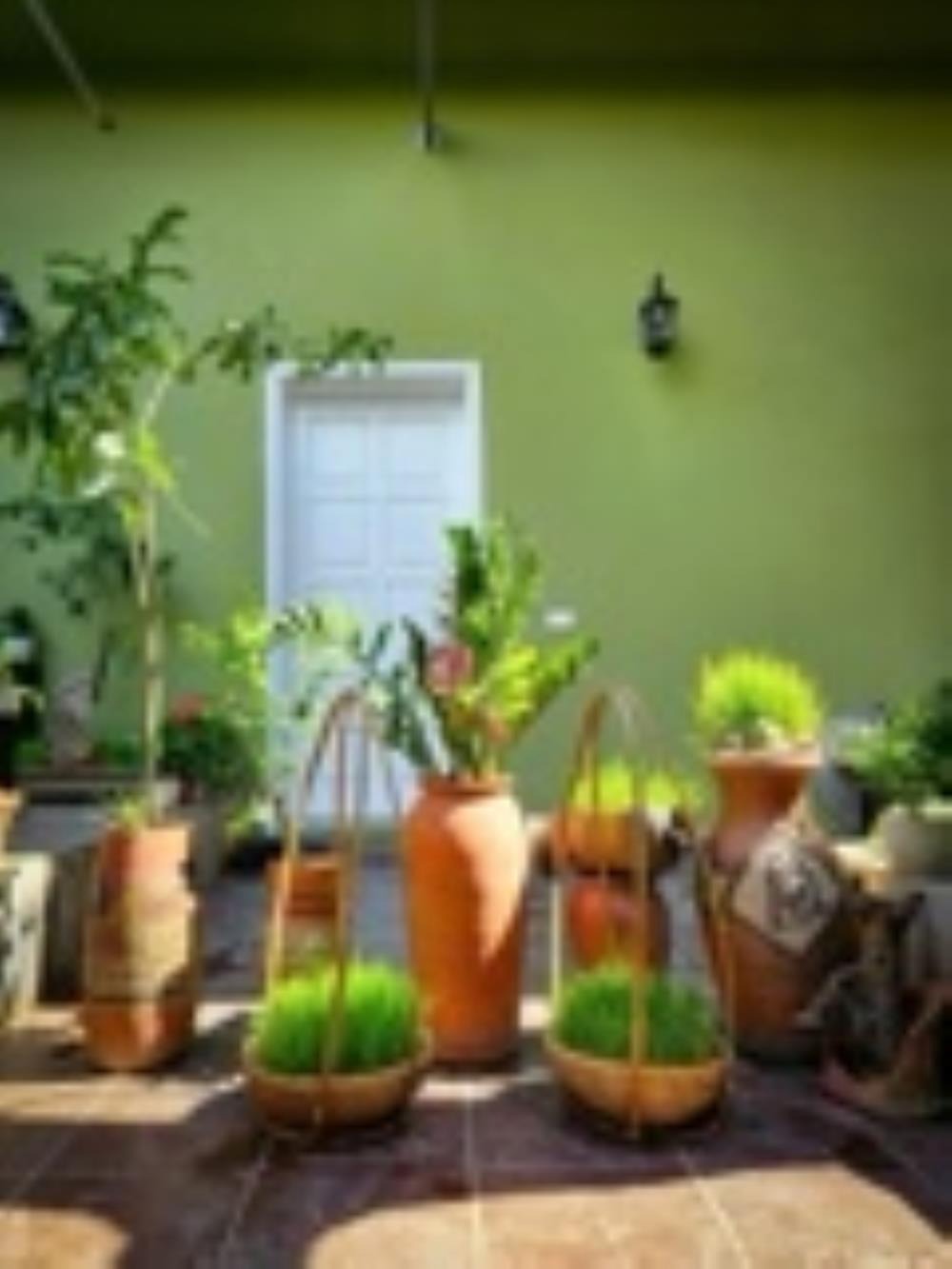 Đòng Garden: Homestay Hà Nội Yên Bình, Hiện Đại, Gần Lăng Bác