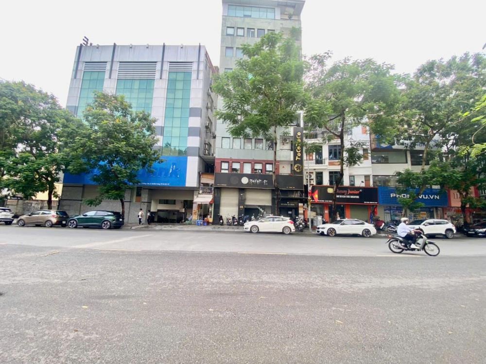 Cho Thuê Mặt Bằng Kinh Doanh Trần Đại Nghĩa - Vị Trí Đắc Lộc, Giá Tốt