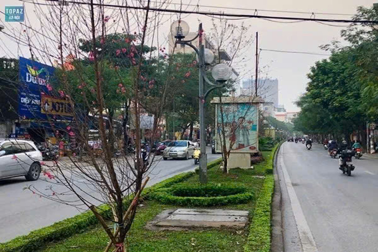 Siêu phẩm Biệt thự Lạc Long Quân, 93m, 5 tầng, oto ngủ trong nhà, vài bước caffe Hồ Tây lộng gió!