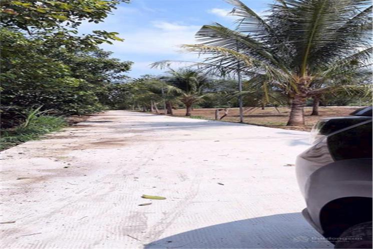 Cơ hội đầu tư độc tôn: Đất sổ hồng 580m² - ngay cổng B sân bay quốc tế Long Thành chỉ 4 tỷ đồng