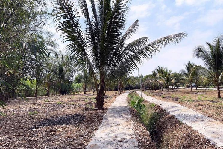 Cơ hội đầu tư độc tôn: Đất sổ hồng 580m² - ngay cổng B sân bay quốc tế Long Thành chỉ 4 tỷ đồng