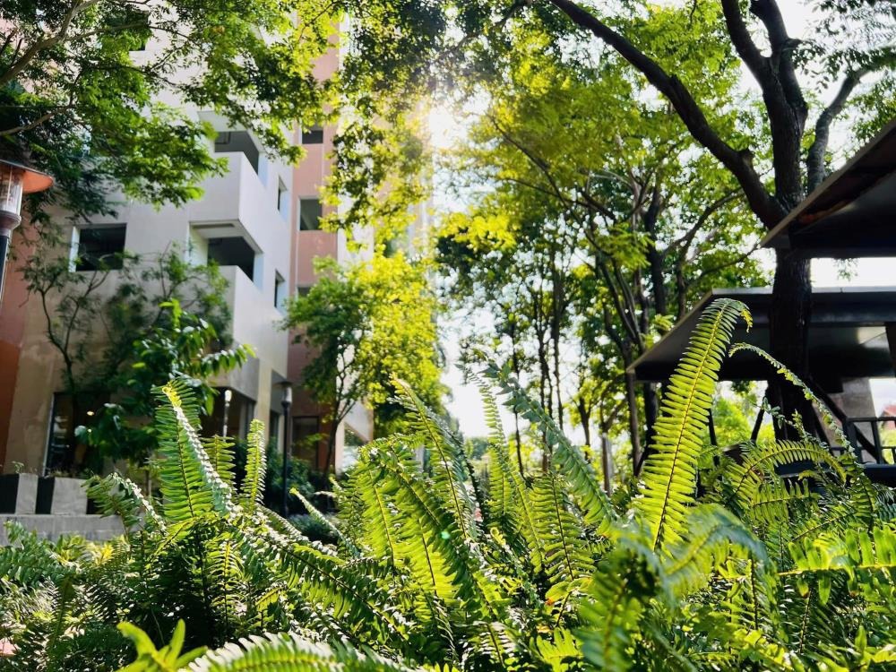 Bán Căn 3 Ngủ Mulberry Lane - 137m2 - Giá 8.4 Tỷ - Có Thể Thương Lượng