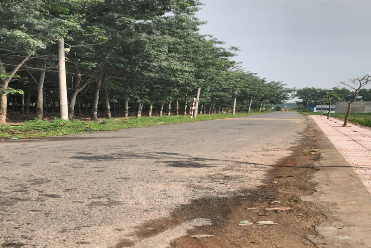 Bán mặt tiền nhựa liên ấp, gần ngã tư Gia Vĩnh, An Viễn, Đồng Nai
