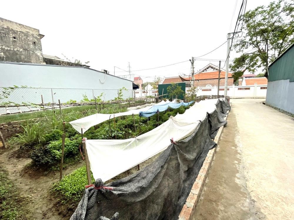 Lô Góc 116m2 Xuân Nộn - Đầu Làng, Kinh Doanh Đỉnh Cao