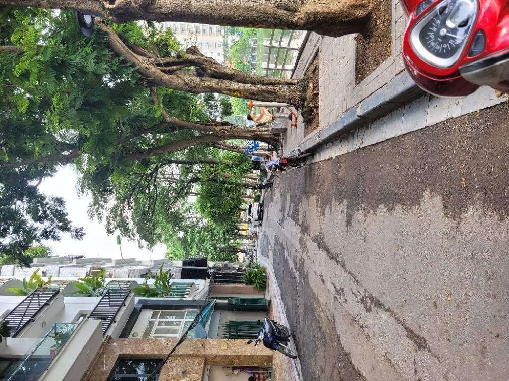 Nhà Mặt Phố Trấn Vũ, Ba Đình - View Hồ Tây - Lợi Nhuận Cao