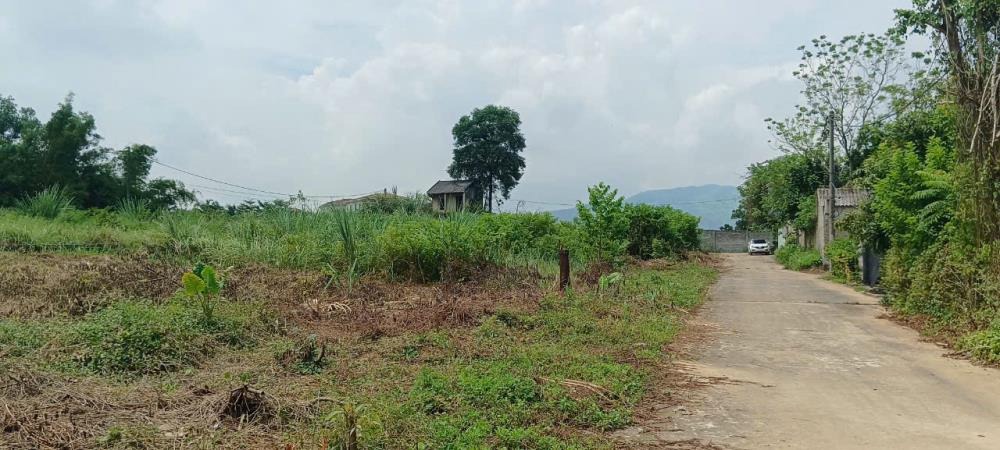 Đất đấu giá, lô liền kề 167m2 full thổ cư Chương Mỹ, Hà Nội | Đầu tư sinh lời