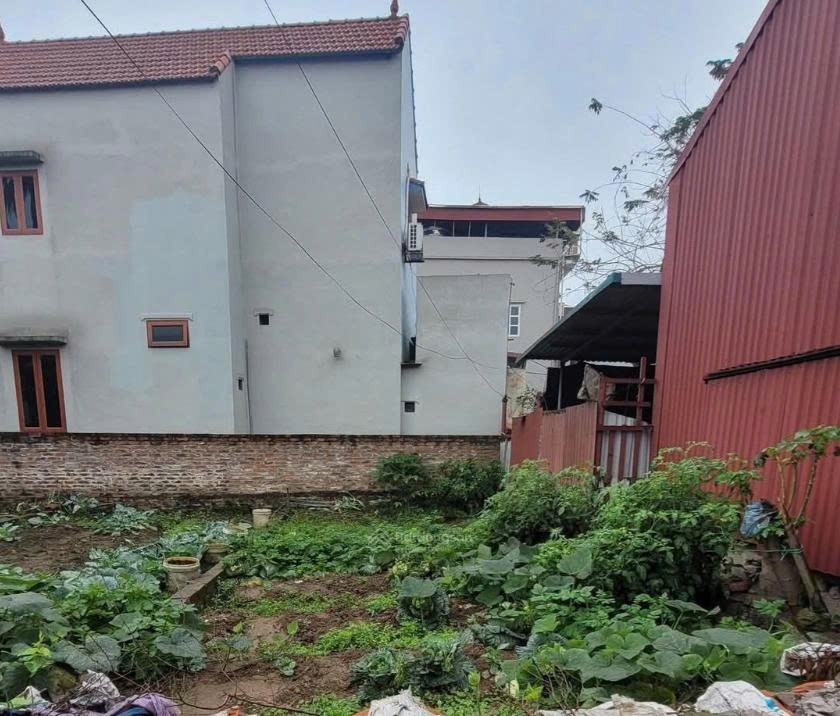 Bán đất thổ cư đẹp - Trung Thôn, Nhị Khê, Thường Tín - Vị trí đắc địa, giao thông thuận tiện