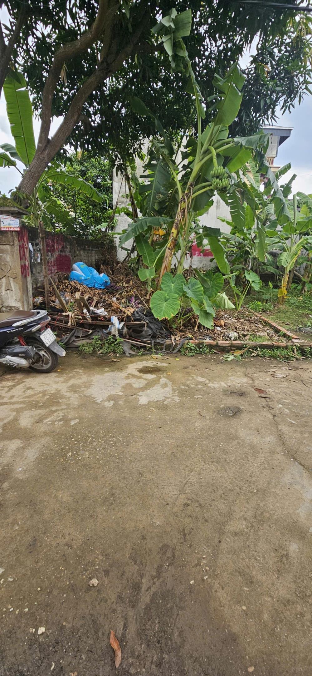 Đất đẹp 52m2 Ninh Nội, Sóc Sơn: Ngõ thông, ô tô vào đất, gần QL2A