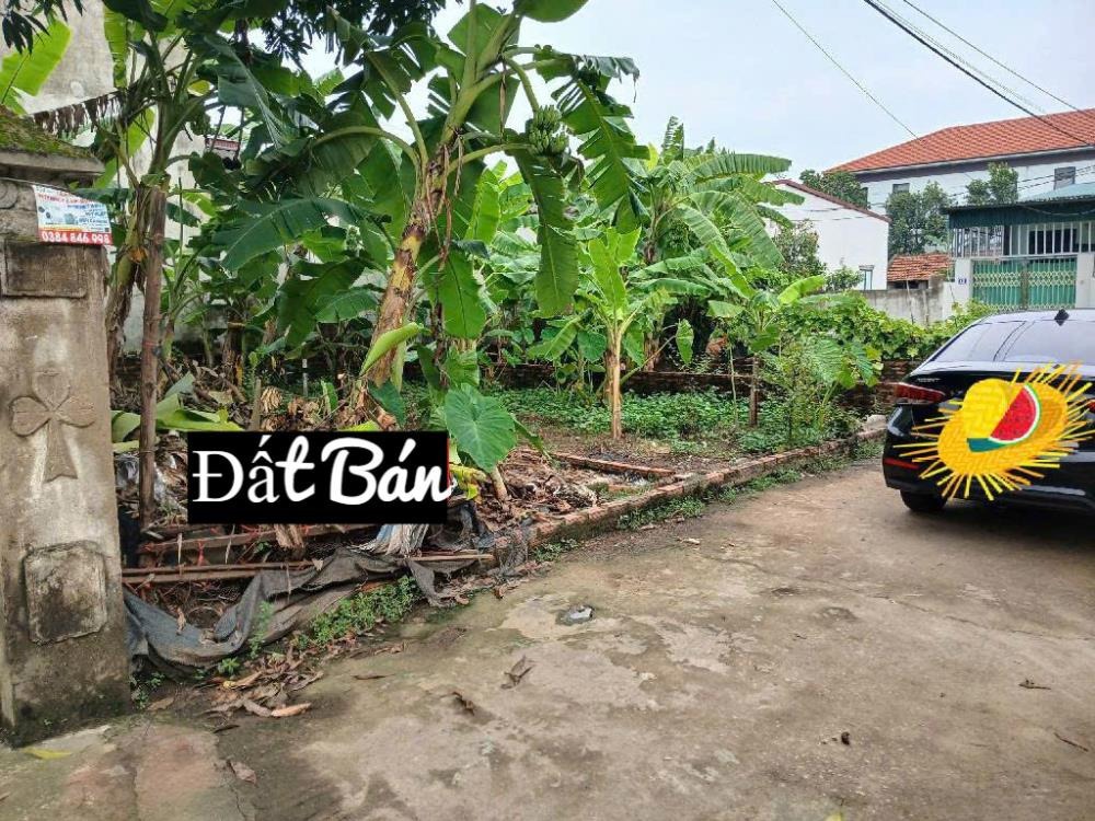 Đất đẹp 52m2 Ninh Nội, Sóc Sơn: Ngõ thông, ô tô vào đất, gần QL2A