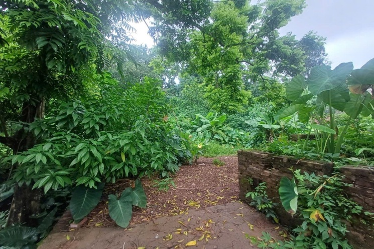 CHÍNH CHỦ CẦN BÁN LÔ ĐẤT 470 TẠI TIÊN PHƯƠNG-CHƯƠNG MỸ-HÀ NỘI