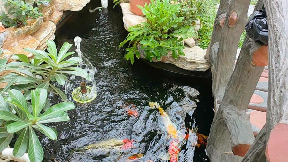 Bán nhà phố cấp 4 mái thái Tân Vĩnh Lộc - Giá 2.6 tỷ - Vị trí đắc địa