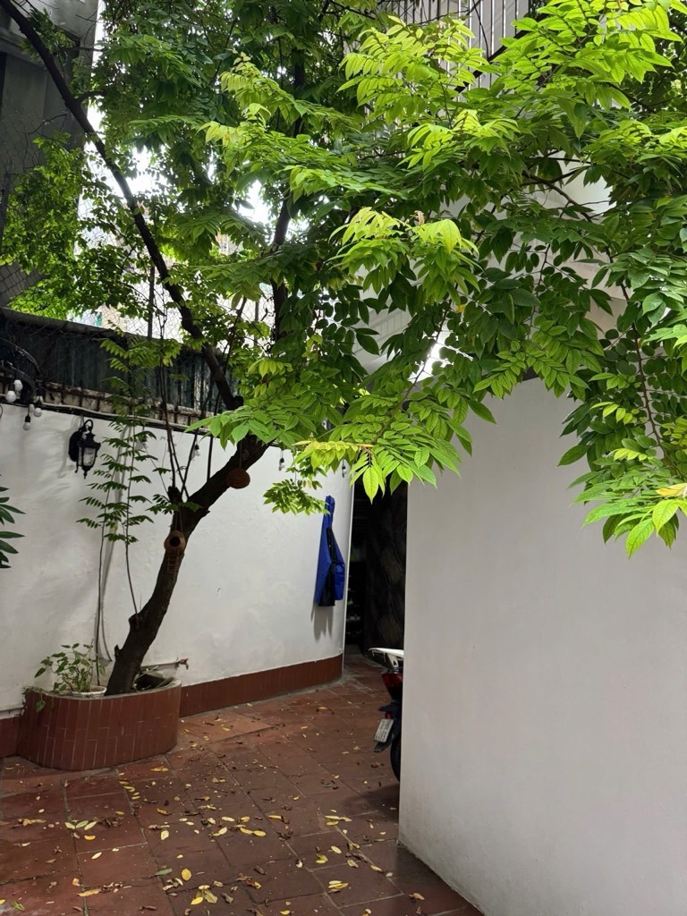 Bán nhà Kim Mã, Ba Đình - 40 tỷ - 133.9m2 - 4PN - Pháp lý chuẩn