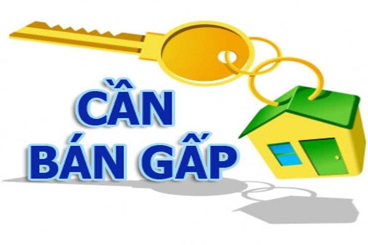Bán Đất Mặt Tiền 50m Nguyễn Trung Trực, Dương Đông, Phú Quốc – Giá thương lượng