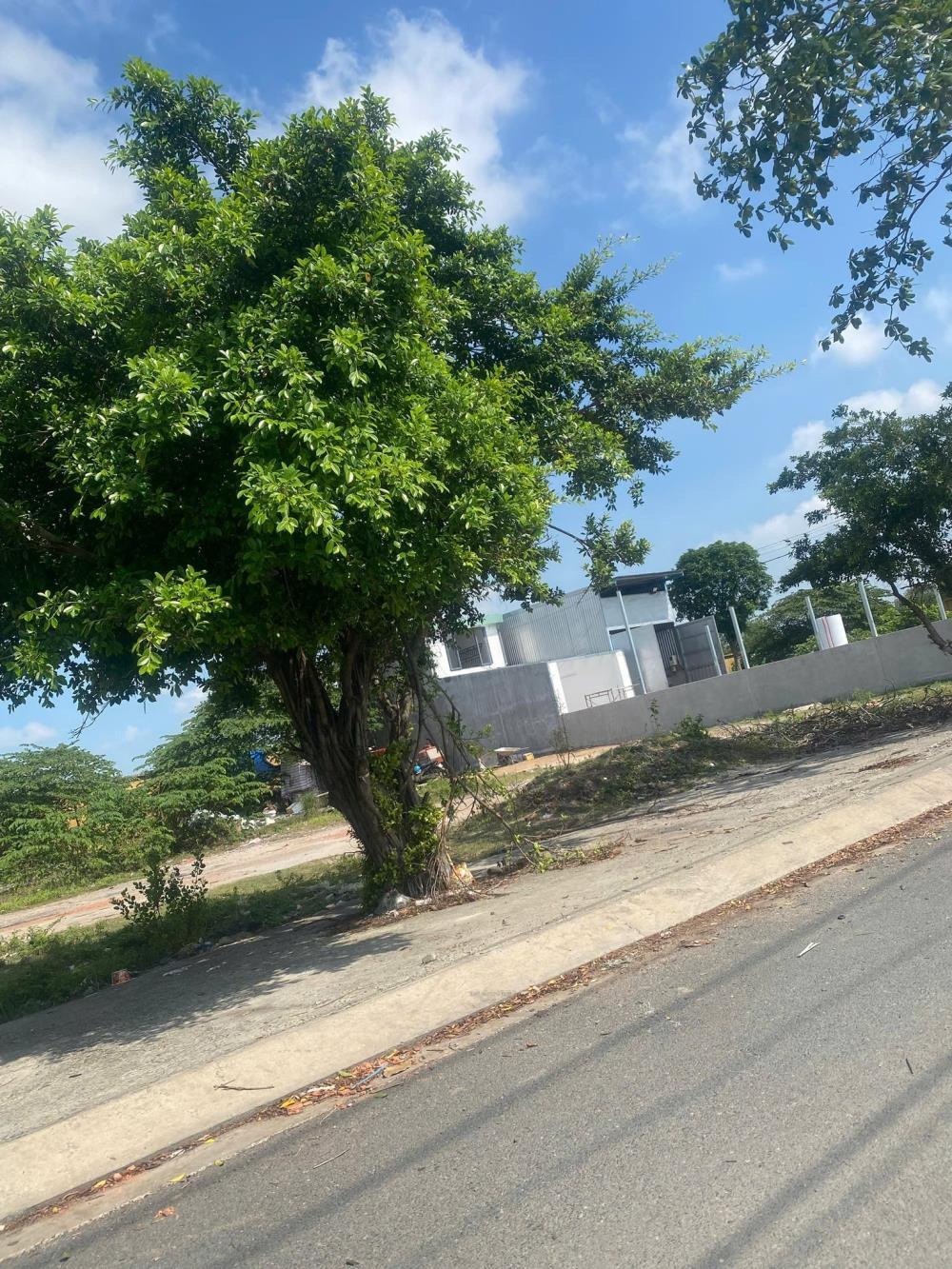 Bán Gấp Lô Đất 146.8m2, 4.2 Tỷ Tại Trần Hải Phụng, Bình Tân - Vị Trí Đắc Địa, Giá Tốt