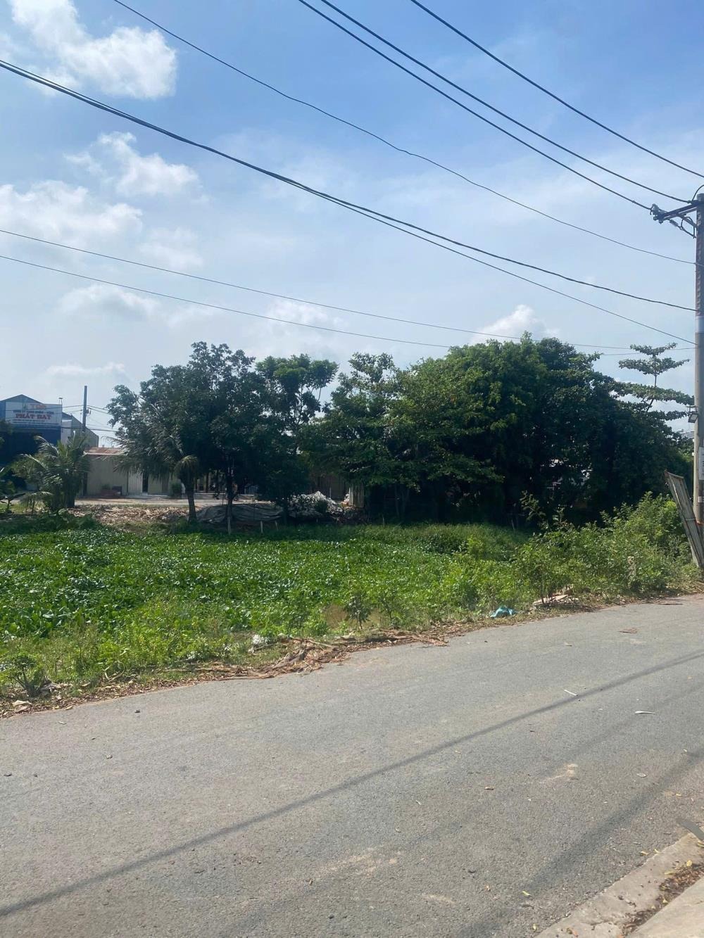 Bán Gấp Lô Đất 146.8m2, 4.2 Tỷ Tại Trần Hải Phụng, Bình Tân - Vị Trí Đắc Địa, Giá Tốt