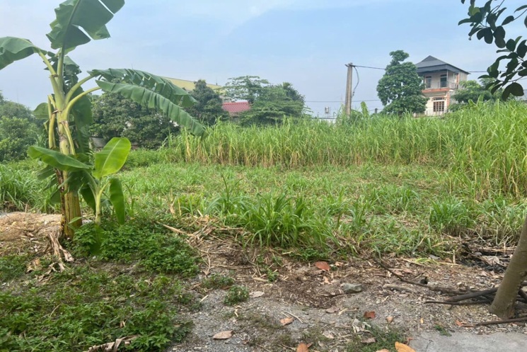 CHÍNH CHỦ BÁN LÔ ĐẤT ĐẸP 60,2M TẠI THỦY XUÂN TIÊN-CHƯƠNG MỸ-HÀ NỘI