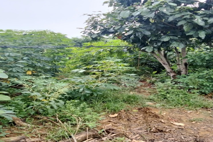 CHÍNH CHỦ BÁN LÔ ĐẤT ĐẸP 2920,3M TẠI TỪ SƠN-KIM BÔI HÒA BÌNH