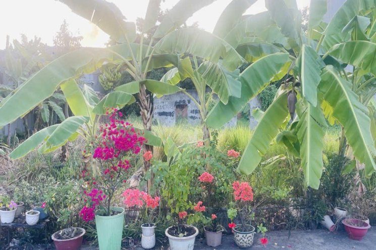 Đất Vuông đẹp Xe tải tránh 107m2 – Thanh Xuân 25 Q12